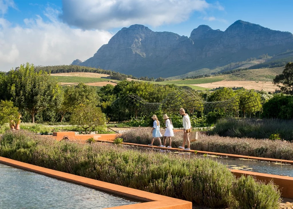 Stone water channels and silver planting in the edible garden at Babylonstoren, with the Simonsberg beyond
